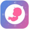 元墨孕育appv0.3.2安卓版